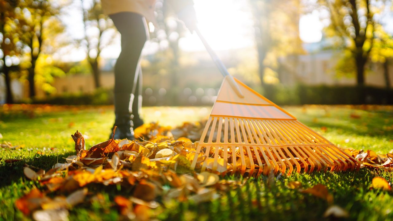 Fall gardening checklist