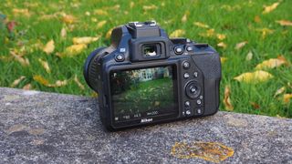 Best DSLR: Nikon D3500