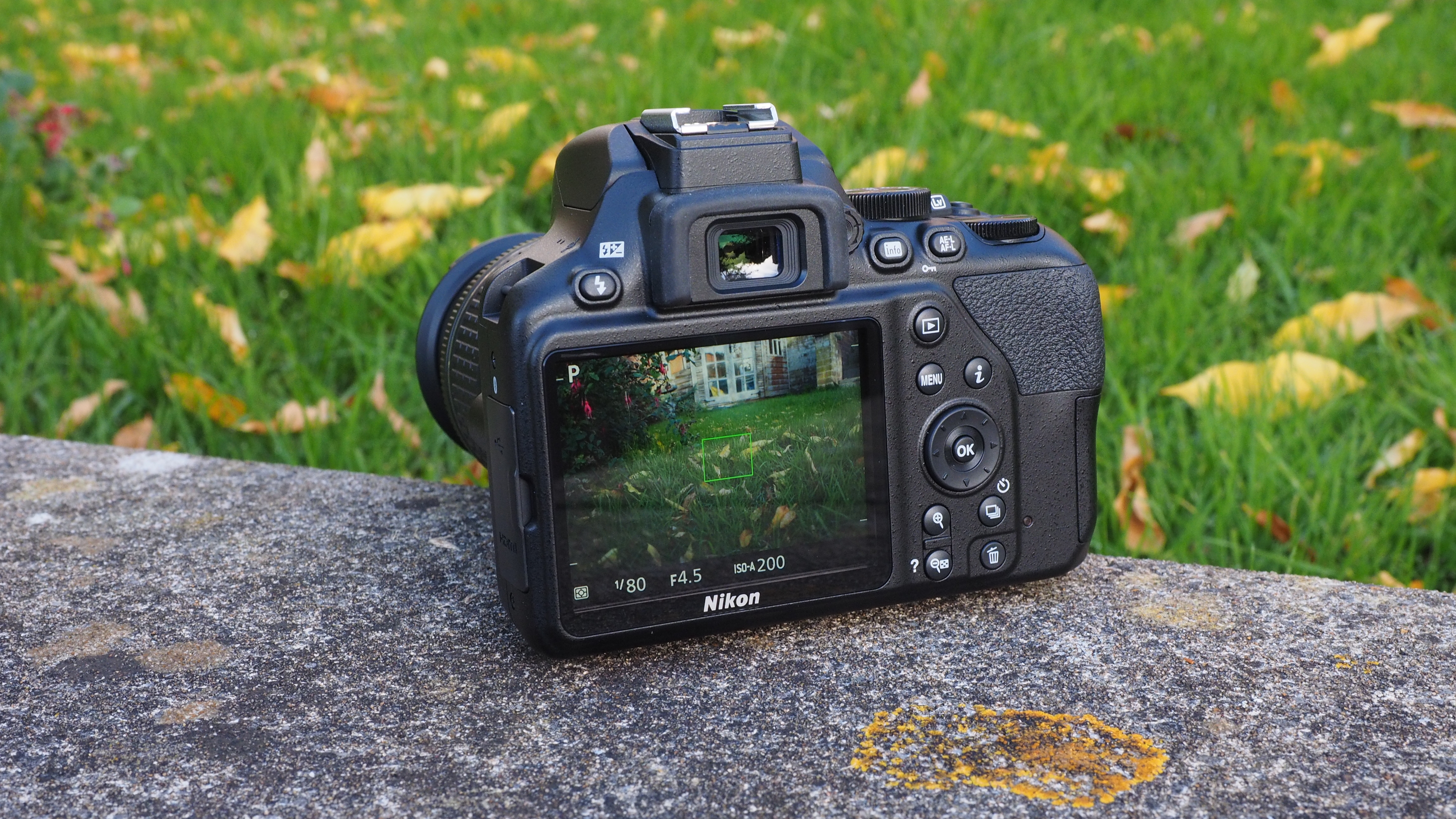 Nikon D3500 Review