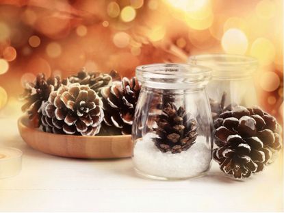 Decorative Christmas Pine Cones With White Edges