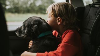 Black dog and child staring out of a car window