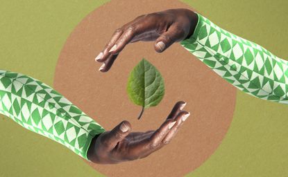 hands surrounding leaf against green background, signifying sustainable living