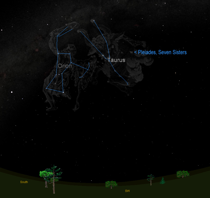 taurus the bull constellation