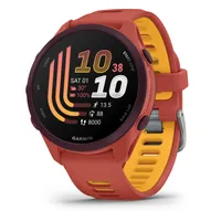 Garmin Forerunner 170 Garmin Forerunner 170