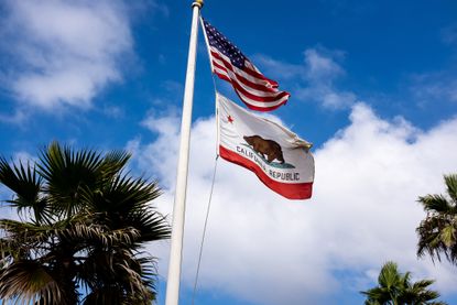 California flag next to U.S. flag on flag pole