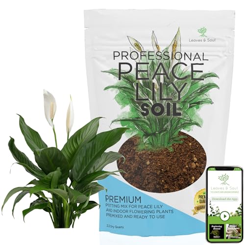 Professional Peace Lily Soil | Large 2.2 Quarts Ready to Use for Peace Lily Plants | Peat Moss, Coco Coir, Perlite, Dolomite | Made in Usa