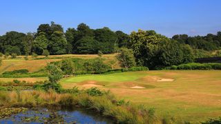 Knole Park - Hole 8