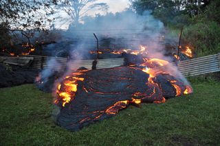 Pahoa lava flow and fence