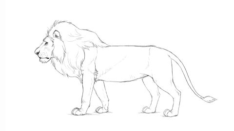 How to draw a lion | Creative Bloq