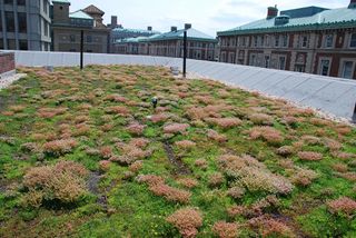 nsf, ria, national science foundation, research in action, green roof, global warming, climate change, green technology, energy, carbon footprint