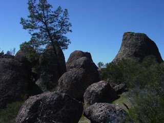 new national park, condors