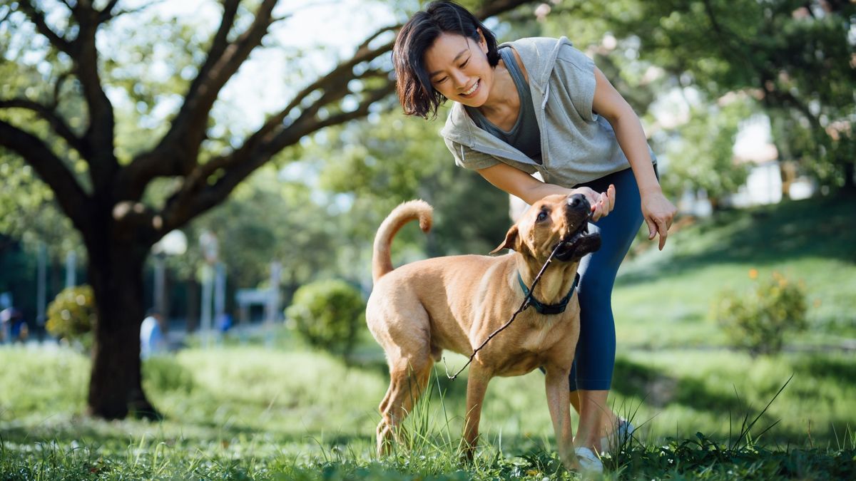 Woman playing fetch with her dog in the park