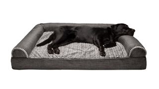 dog bed with black dog lying on it