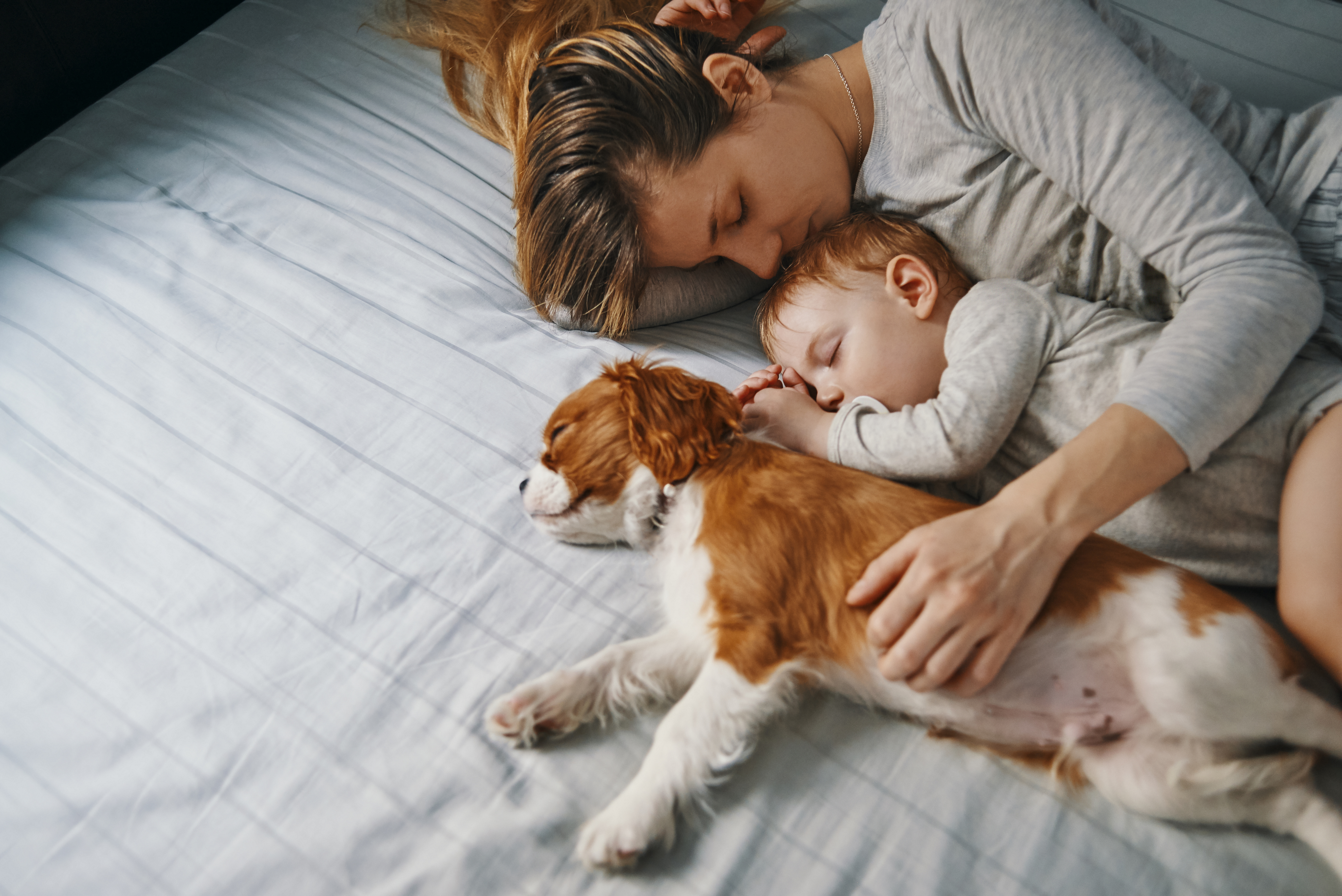 young mother enjoying napping with her baby and puppy