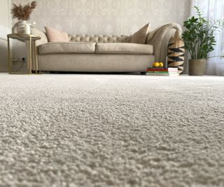 close up of cream carpet with cream sofa, gold side table and large plant in pot on floor in the background