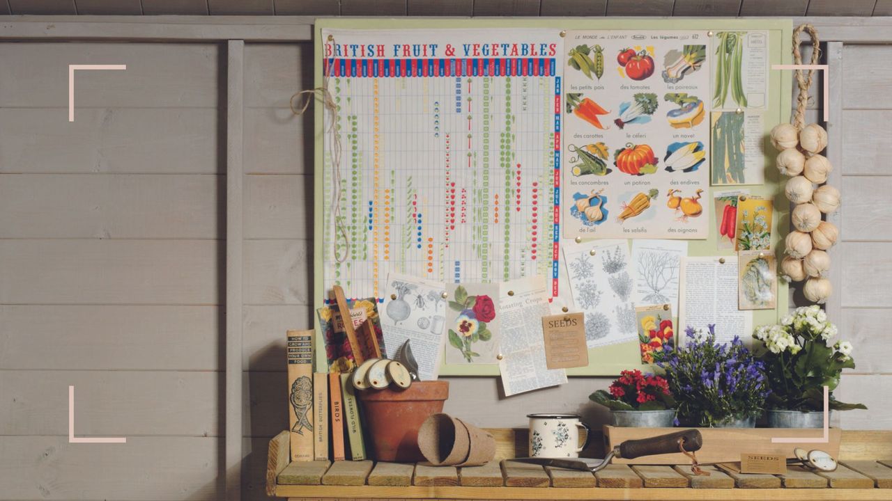 potting seed with planting planner in the wall and tools to show how to collect seeds and plant them 