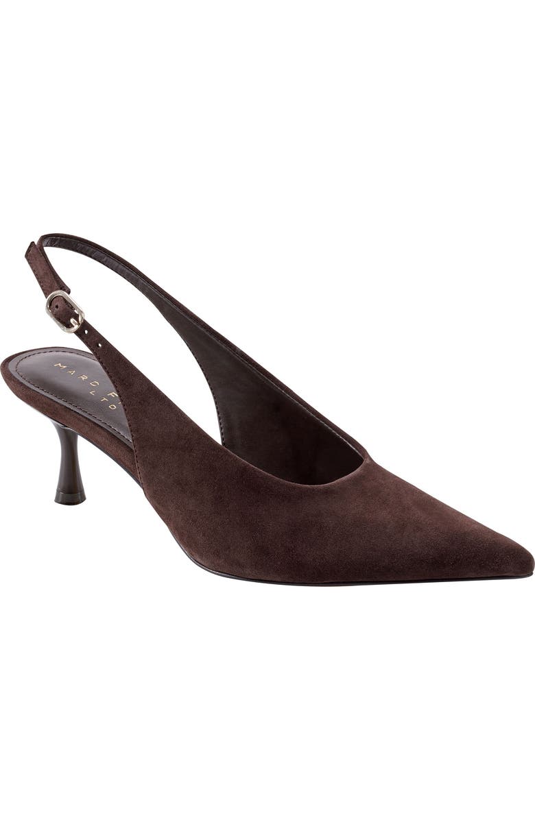 Reynna Pointed Toe Slingback Pump