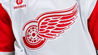 Red Wings logo on a jersey