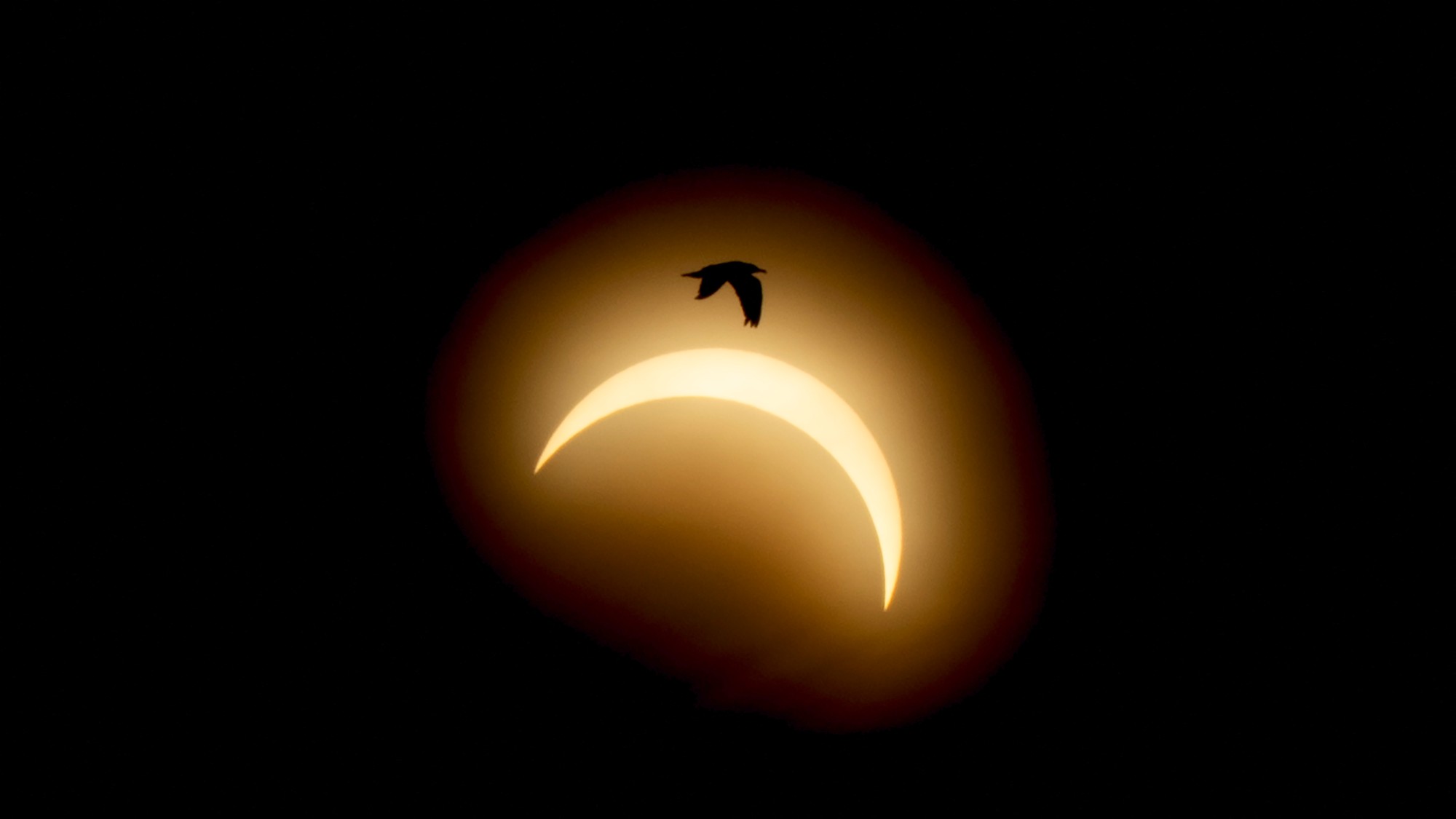 a fiery circle on a black background