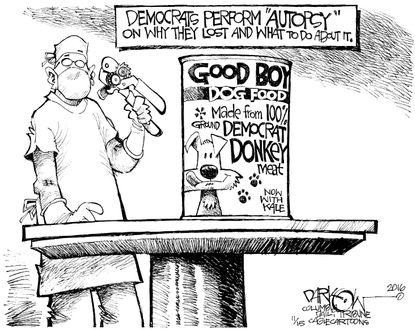 Political cartoon U.S. 2016 election Democrats autopsy