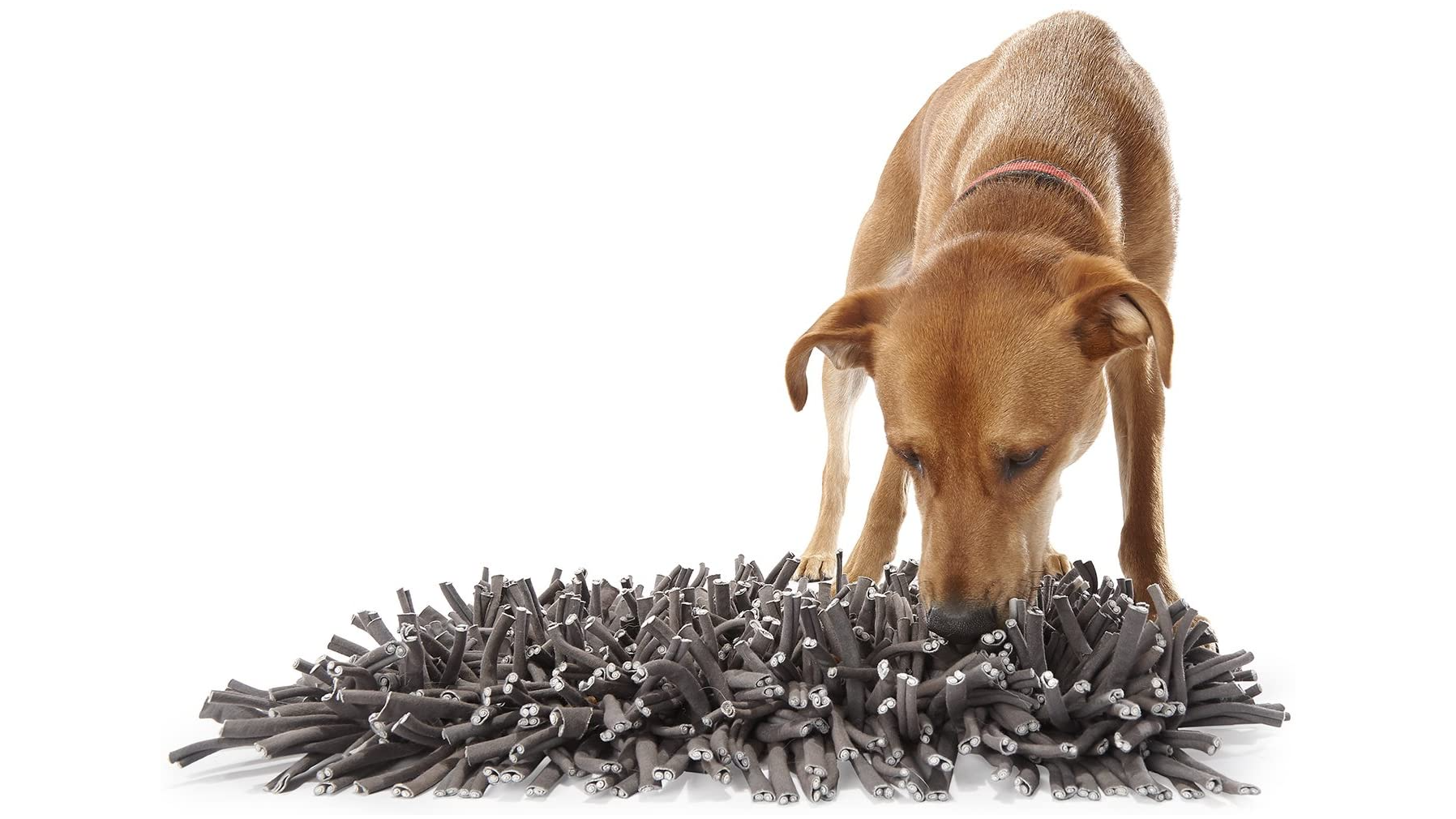 Best snuffle mats for dogs keep your pooch stimulated PetsRadar