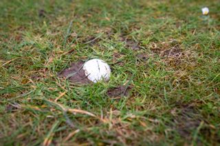 Embedded golf ball