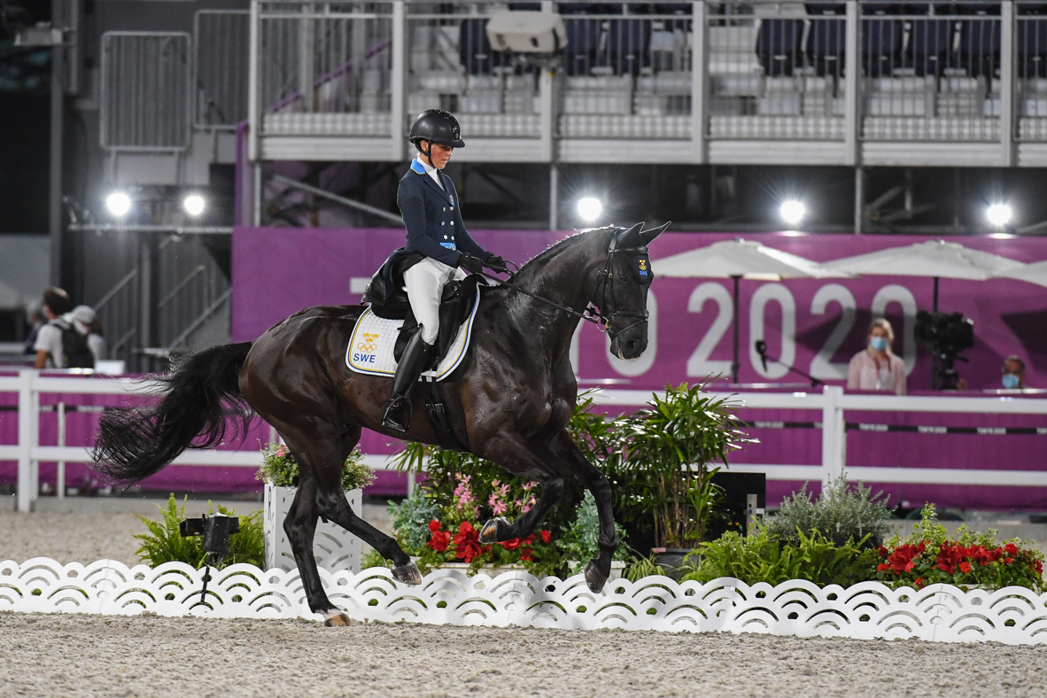 Olympic eventing dressage