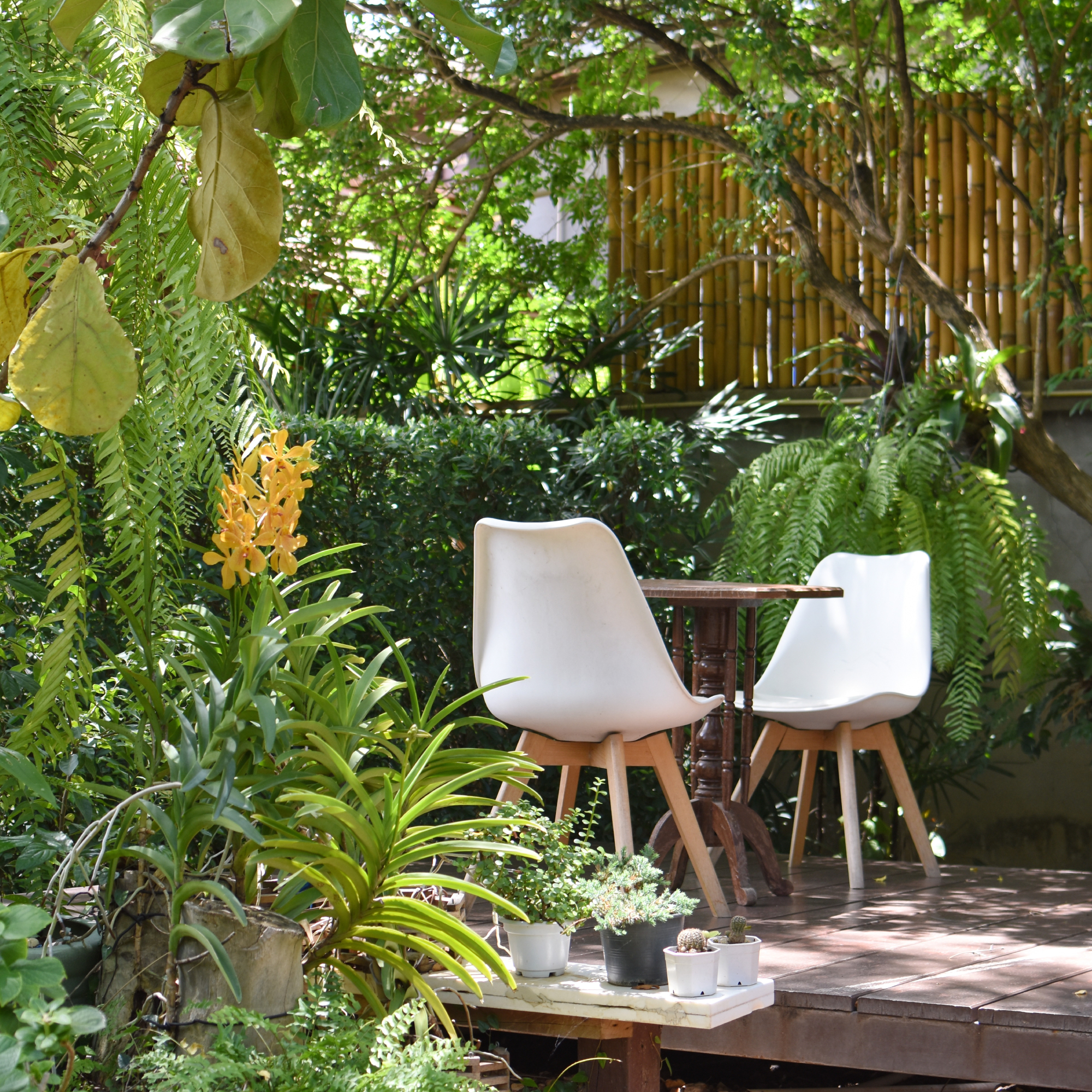 Two chairs and a table on a deck in a small urban garden planted for foliage