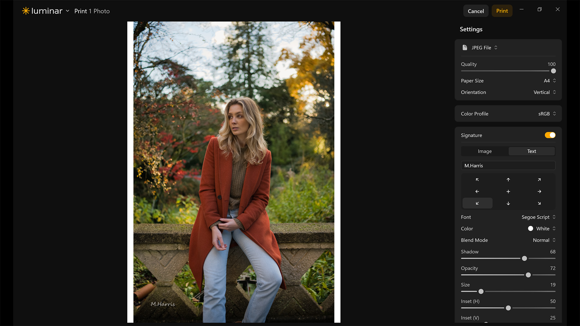 Screenshot from Luminar showing Print screen with portrait of person in autumnal scene