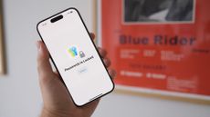 Apple Passwords on an iPhone 15 Pro