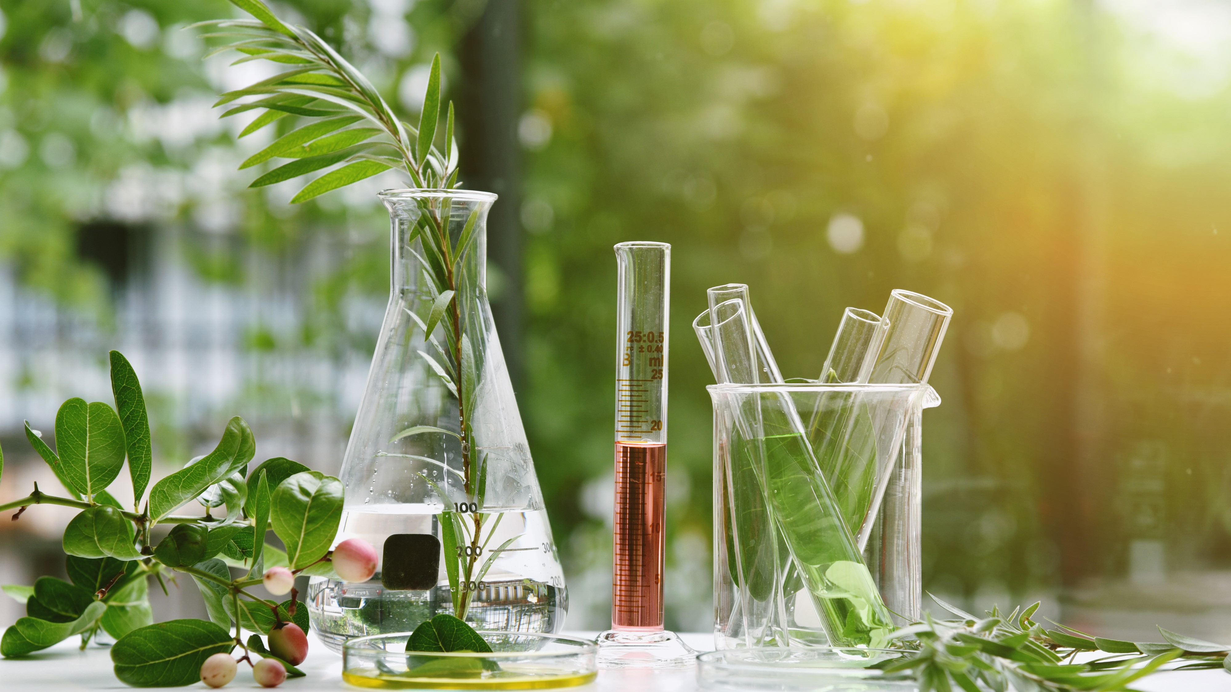Leaves and berries in scientific instruments including test tubes and petri dish