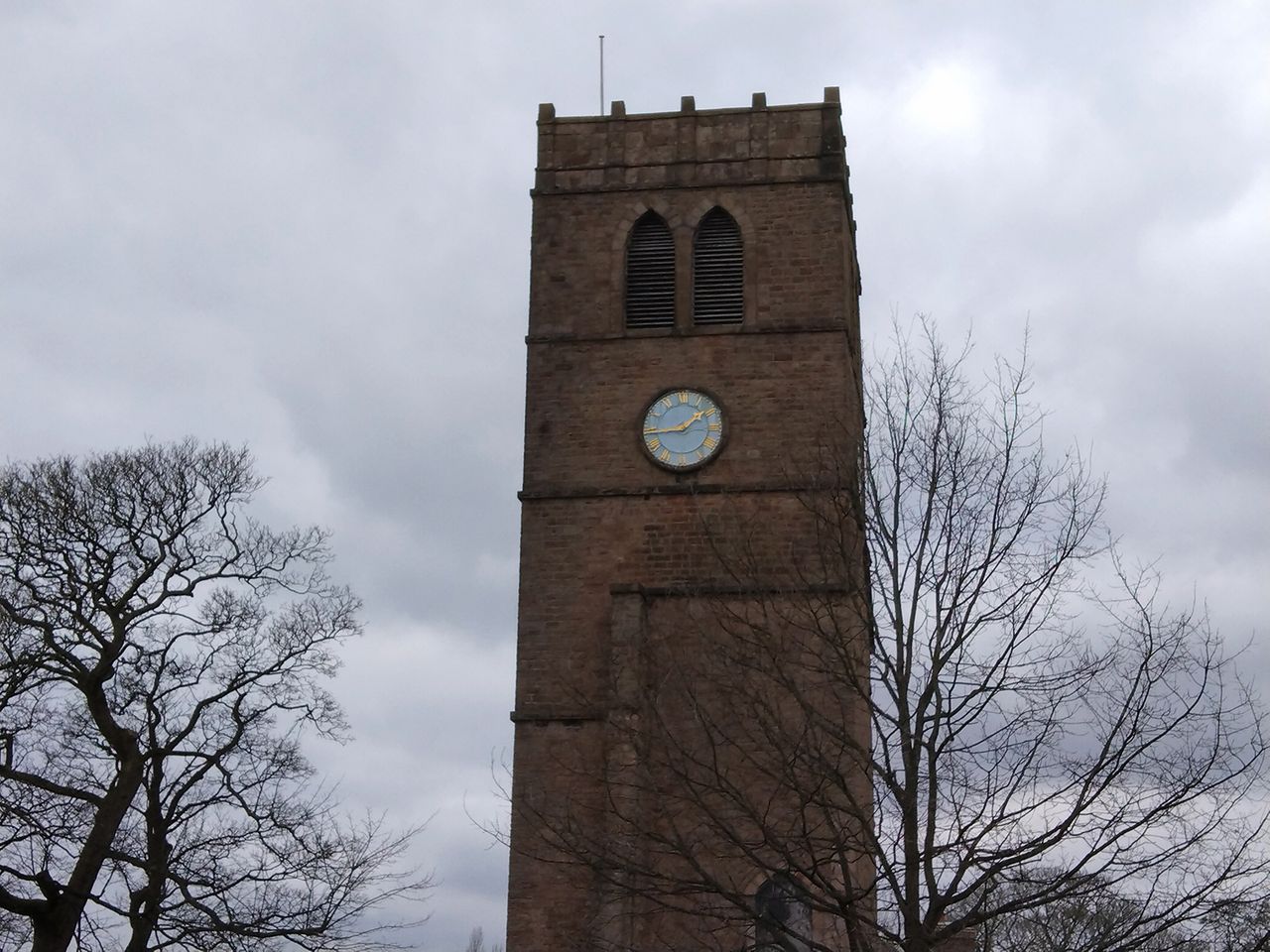 Vivo Y20s camera sample