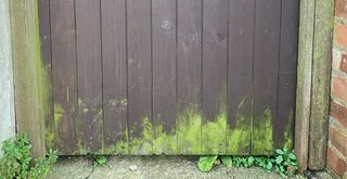 A garden gate and fence with algae on the bottom to show how to get rid of algae on a fence