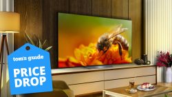The LG B4 OLED is the cheapest OLED TV for a reason — here's why Tom