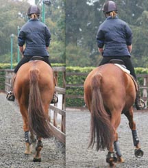 Saddle_slip_image_Oct_2012.jpg