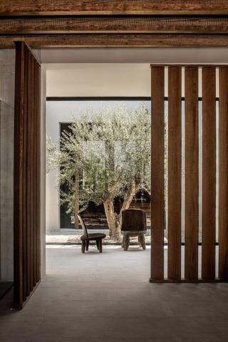 An organically designed, woody hotel room lets visitors peek at its olive-filled minimalist garden.