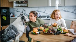 Dog sitting at the table with family