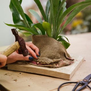 wooden board with hammer sack and plant