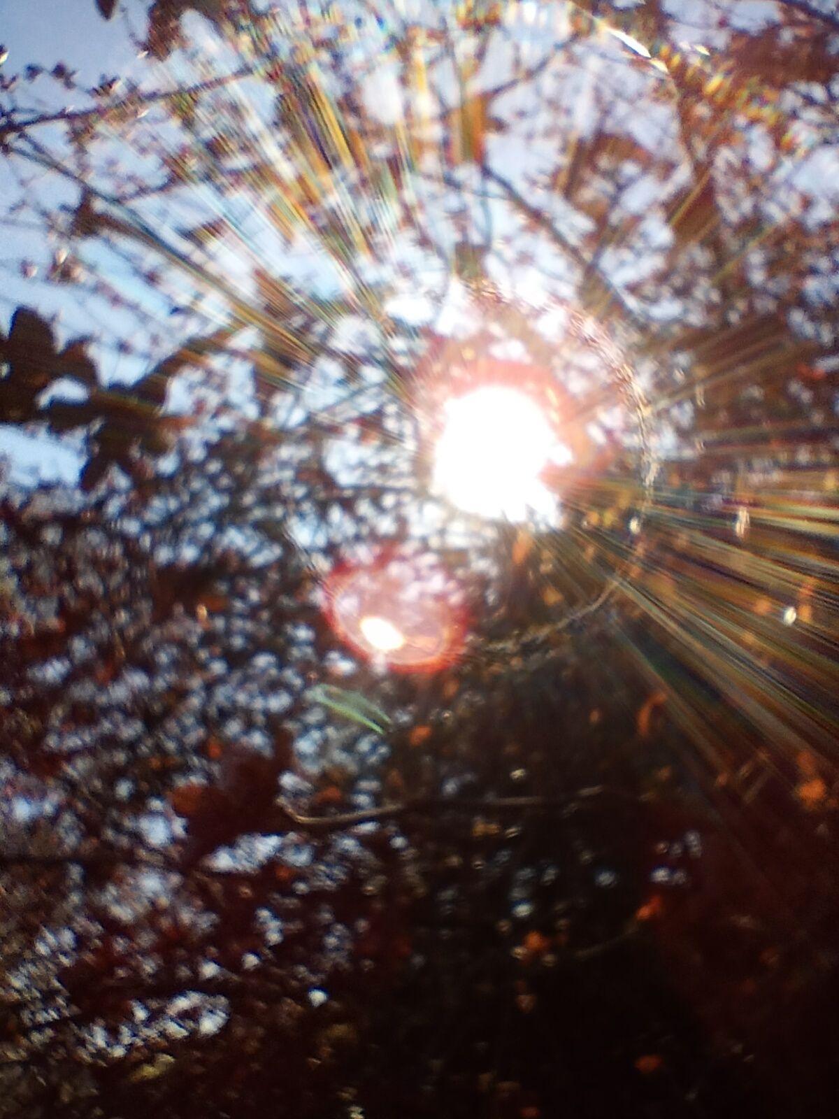 A photo captured on the OnePlus Nord CE 3 Lite 5G