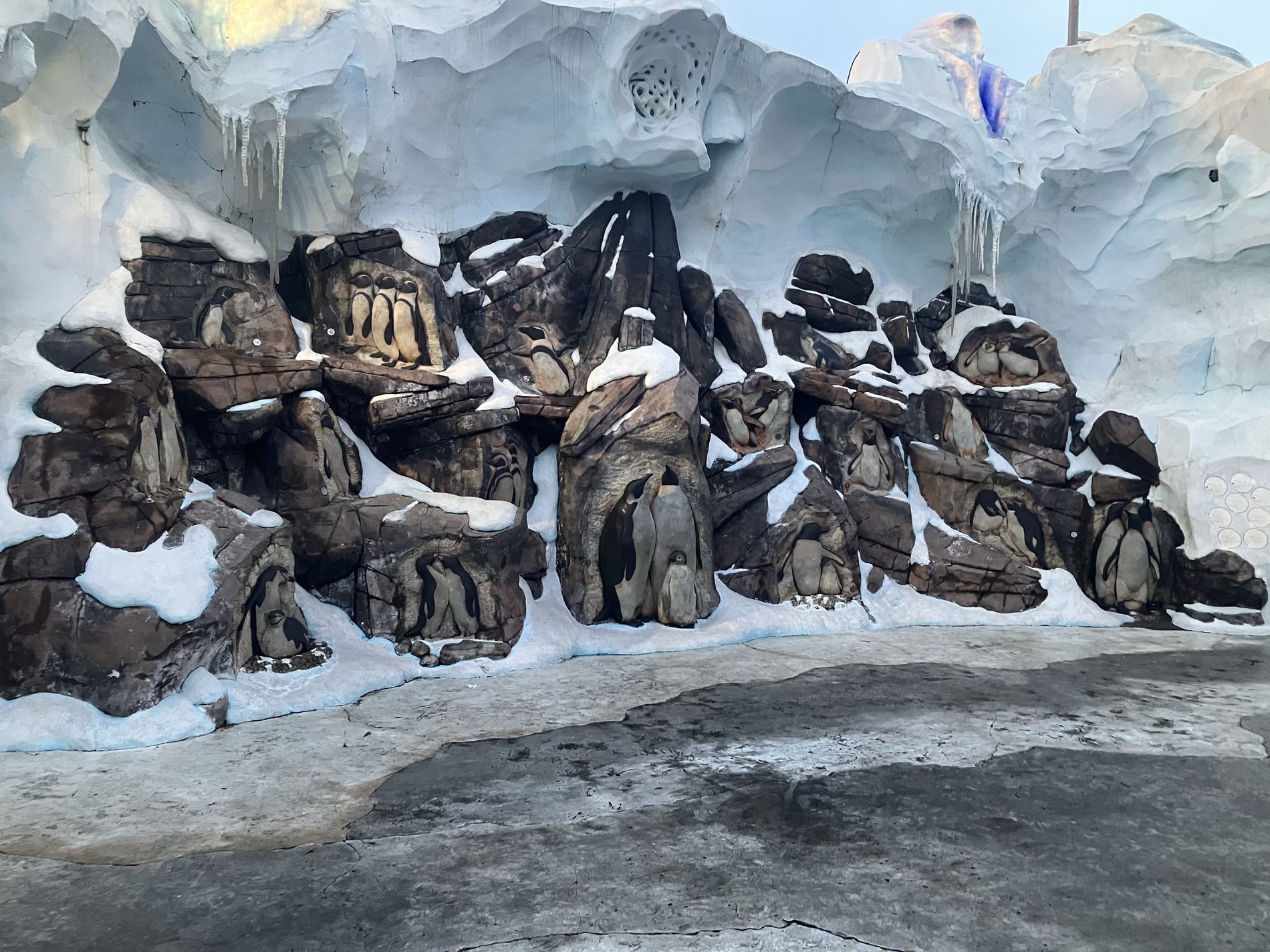 GuruShots - February 2026