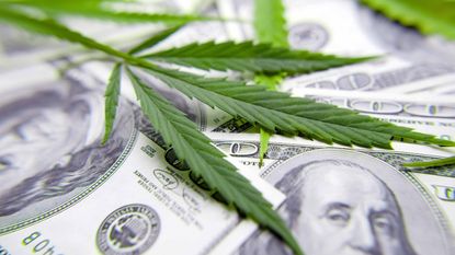 marijuana leaf on hundred dollar bills