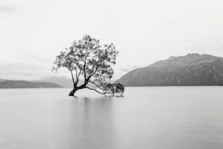 Desaturate and go zen