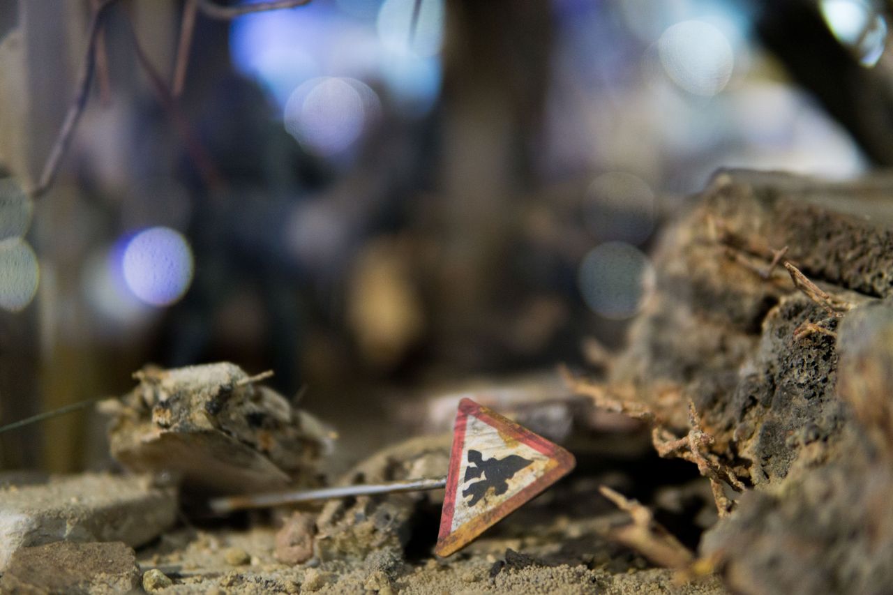 A great Easter egg hidden in the diorama. Grunt crossing!