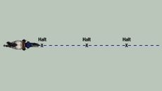Web-diagrams12.jpg