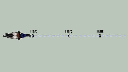 Web-diagrams12.jpg