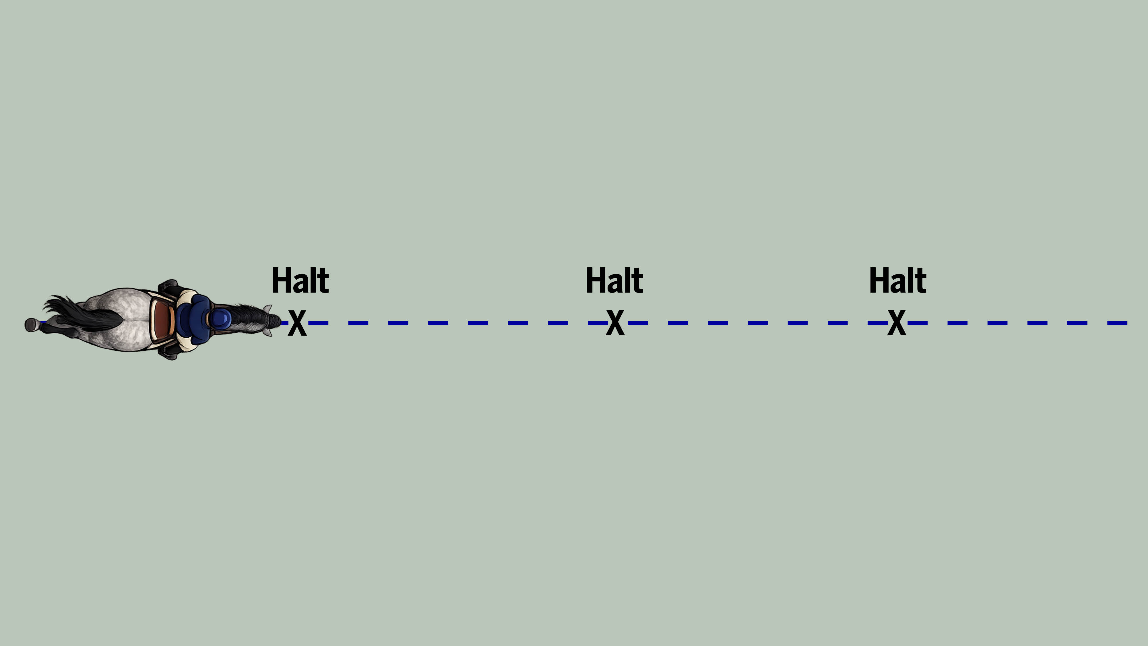 Web-diagrams12.jpg