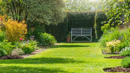 Garden with lawn