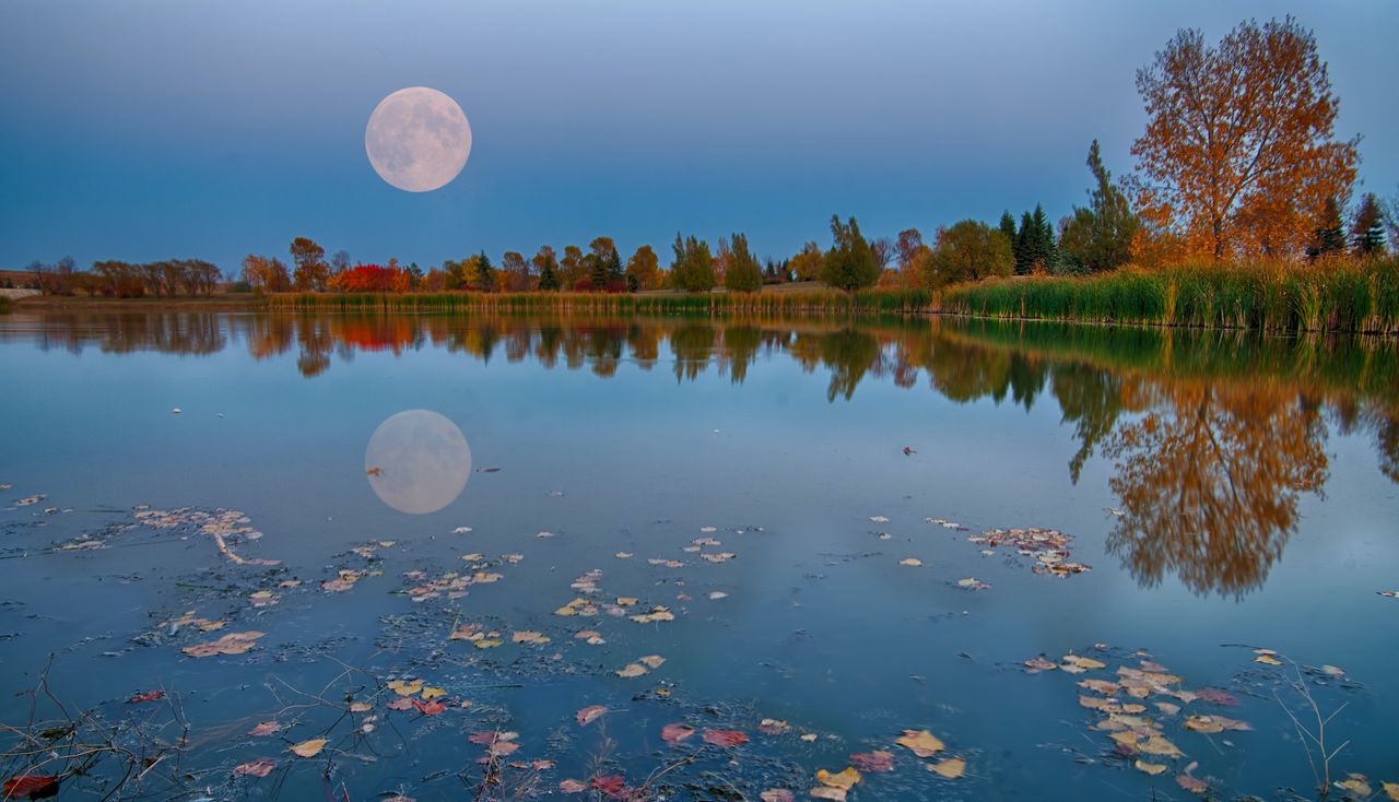 november 2022 full moon; a full moon over a lake with autumn trees in the background