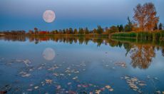 november 2022 full moon; a full moon over a lake with autumn trees in the background