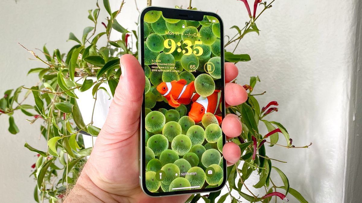 iPhone wallpaper — how to change your iPhone's look and where you can